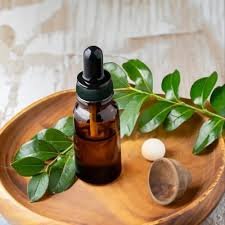 Camphor Oil – antifungal and soothing compound for infected nails