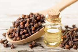 Clove Oil – potent antifungal oil that relieves pain